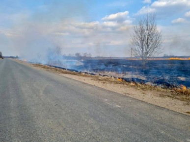 � ������������ ������� ����������� ������ ���� �����