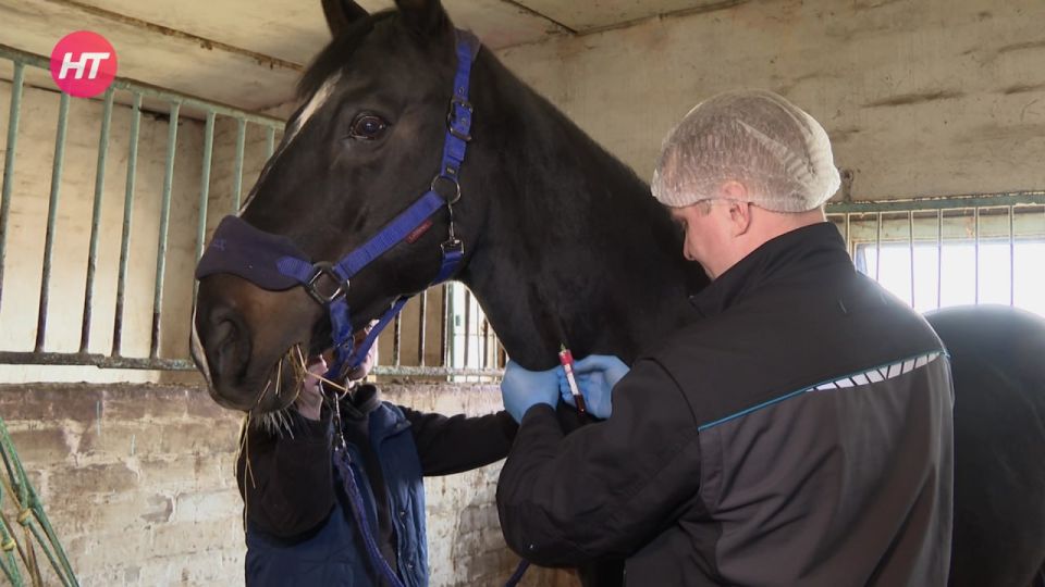 ����������� ���������� ������� ���������� ���������� �� ������� ����� ����������