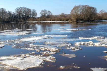 ����� � ������������ ������� �������� ����