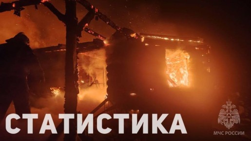 С начала года в Новгородской области произошло почти 300 пожаров