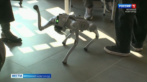 � ������������ ������������ ������ ���� �������� ������