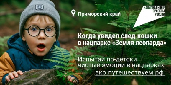 Погулять по хвойному лесу, увидеть вблизи лису, послушать звуки живой природы – сегодня такой отдых становится всё популярнее