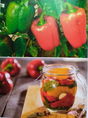 ��� ������� ������������ ����� �� ������������ ��������