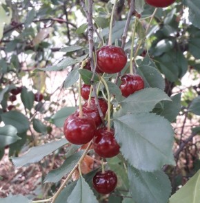 ������� ����� �� ������ �� ����� ��������: ��� �������� ������ ������