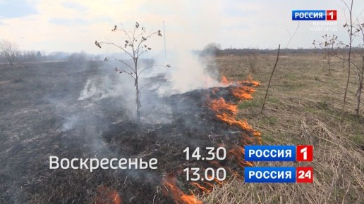 � ��������� ����������� � ���� ������ ����� ������ ��������� ������ �� �������