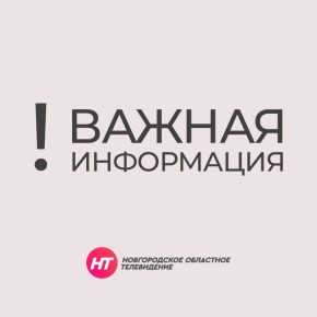 Сегодня над Новгородской областью уничтожили БПЛА