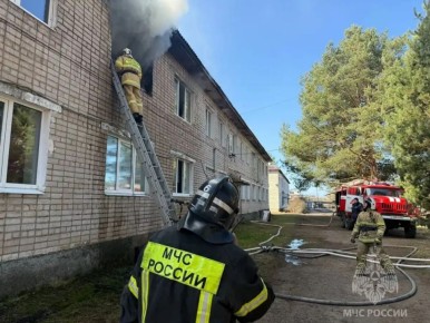 Из горевшего дома в Боровичском округе эвакуировались четверо жильцов