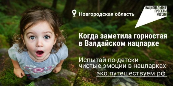 Хотите провести выходные в настоящей сказке – прогуляться по таинственному хвойном лесу, послушать пение птиц и полюбоваться красотой озера с чистейшей водой?