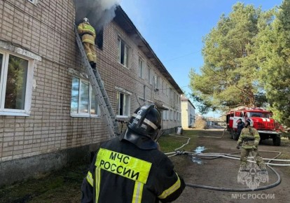 28 марта в Новгородской области произошло 15 пожаров, 12 из них — пал травы