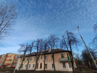 Солнечный март попрощается с новгородцами тёплой, но облачной погодой, пообещали синоптики Новгородгидрометцентра