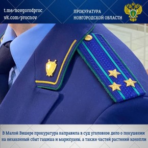 Прокуратура Маловишерского района направила в суд уголовное дело в отношении 57-летнего жителя Санкт-Петербурга