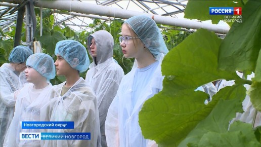 Воспитанники агроклассов из Парфинского района побывали на площадках тепличного комплекса "Трубичино"