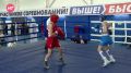 В Любытинском округе прошло Первенство СЗФО по боксу