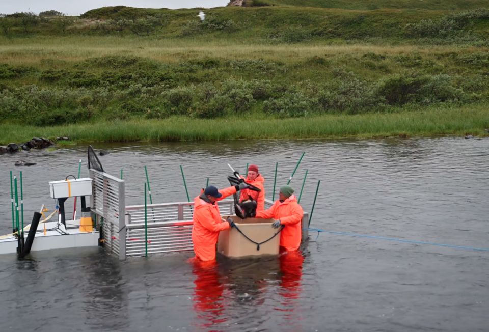 �������� �� ������ ������ � ���������� ������� � 2027 ����