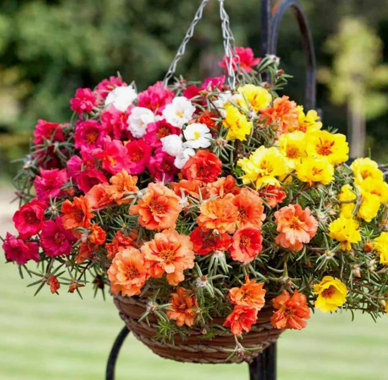 ��������: ��� ��������� ���������� �������� ��� ������ ����