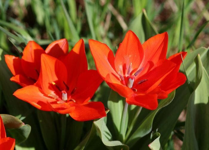 ������������ �������, ������� ����� �������� � ����� ����