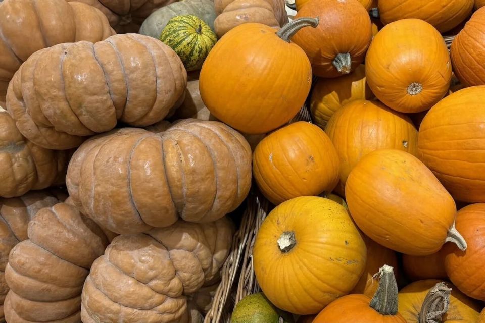 �����: ���������� ����� ��� �������� � ������������