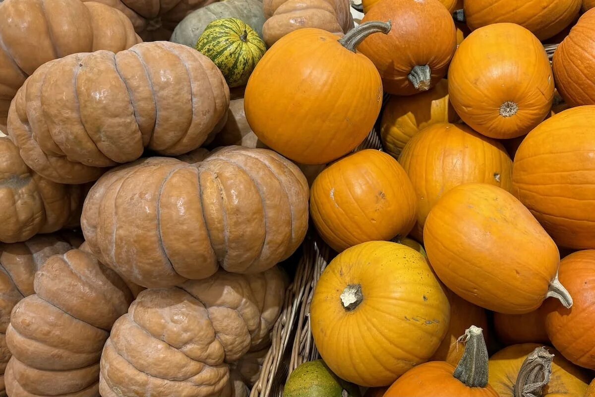 Тыква: уникальные блюда для здоровья и удовольствия