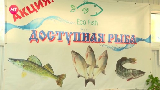 � ������ ��� ����������� ������ ����� ���������� ����