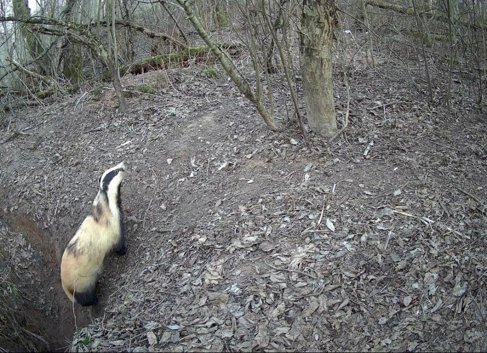 �������� ������������ ������ ������� ��������� � ����� �������