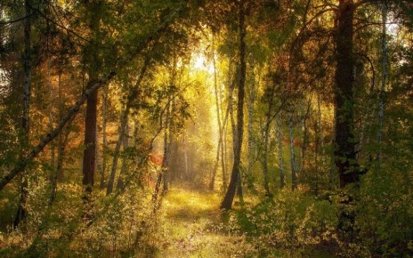 ����� ����� �������� �����: ���� ��� ����?