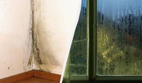 ��� �������� ������� � ���������: ������� ������ ��� ����������� �����