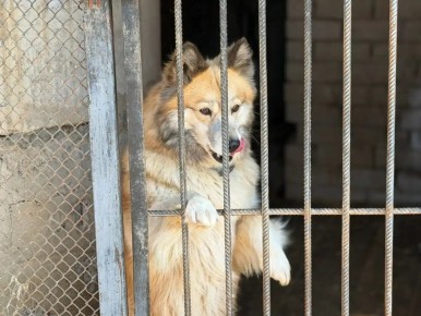 � ������ ��� ��������� �������� �������� ������, ���������� � �������� ���������� � ��������� ��������� ������������� �������� ���������