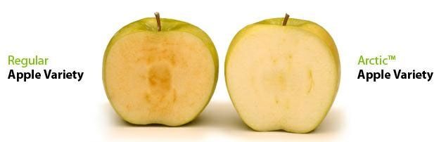 ������������: �������� ������� ���������� �����