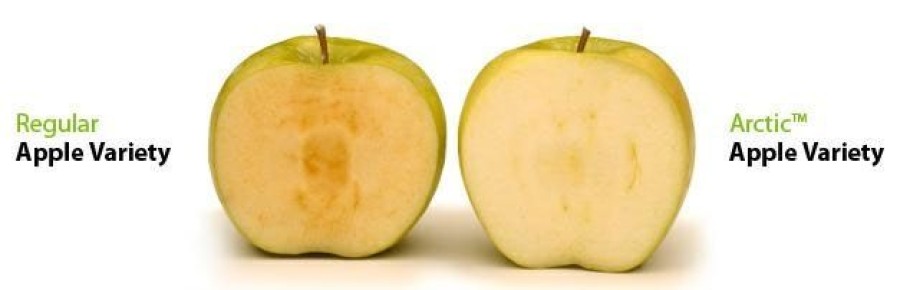 ������������: �������� ������� ���������� �����