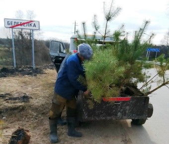 � ���������� ���� �������� �������� �������� �����