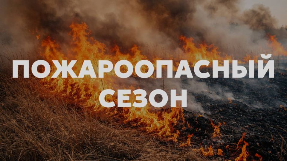 С 6 апреля на всей территории Новгородской области вводится пожароопасный сезон