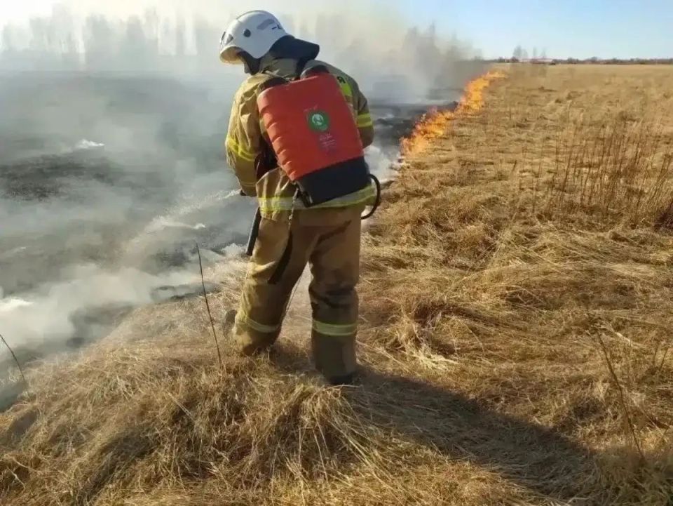 �� �������� ����� � ������������ ������� ��������� 11 �������