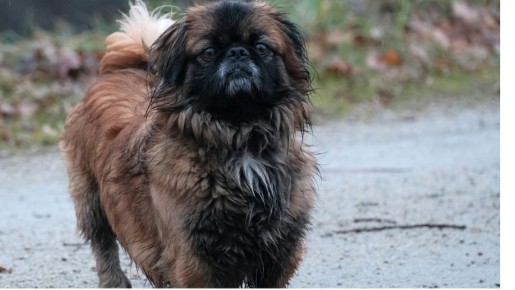 Судебная история о правосудии и неожиданном штрафе