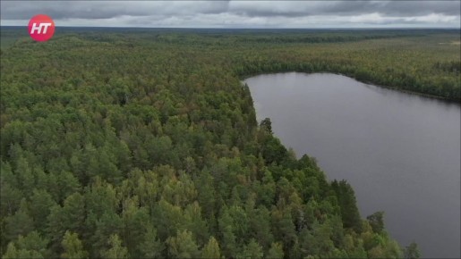 Новгородская область полностью готова к лесопожарному сезону