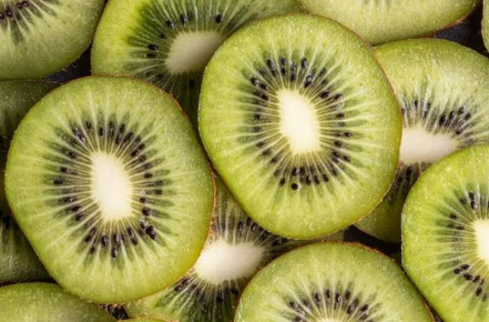 ����: ������ �������� ���� �������, ��������� ������� �����