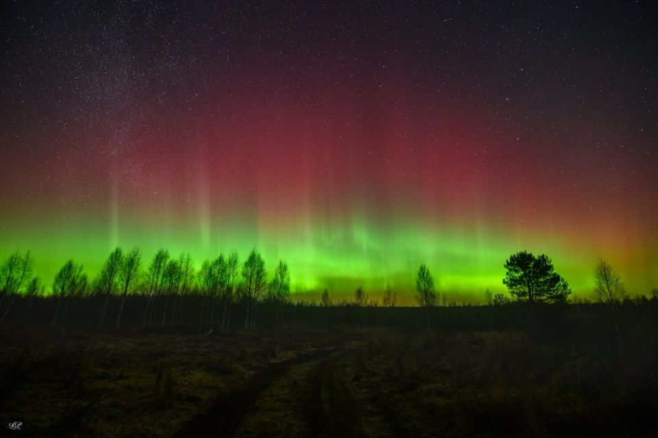 �������������� ����������� �������� ������ ����������