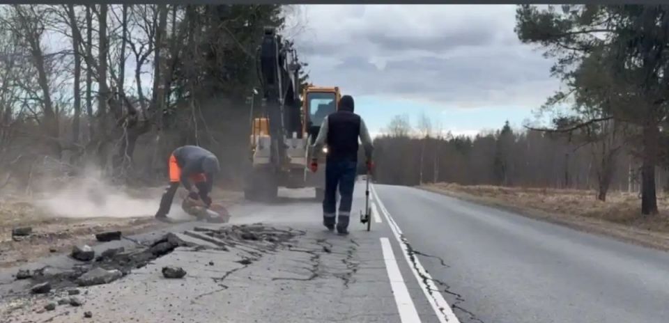 Подрядная организации приступили к восстановительным работам на участках дороги Новоселицы — Папоротно в Новгородском округе, повреждённых из-за интенсивного движения тяжеловесного транспорта