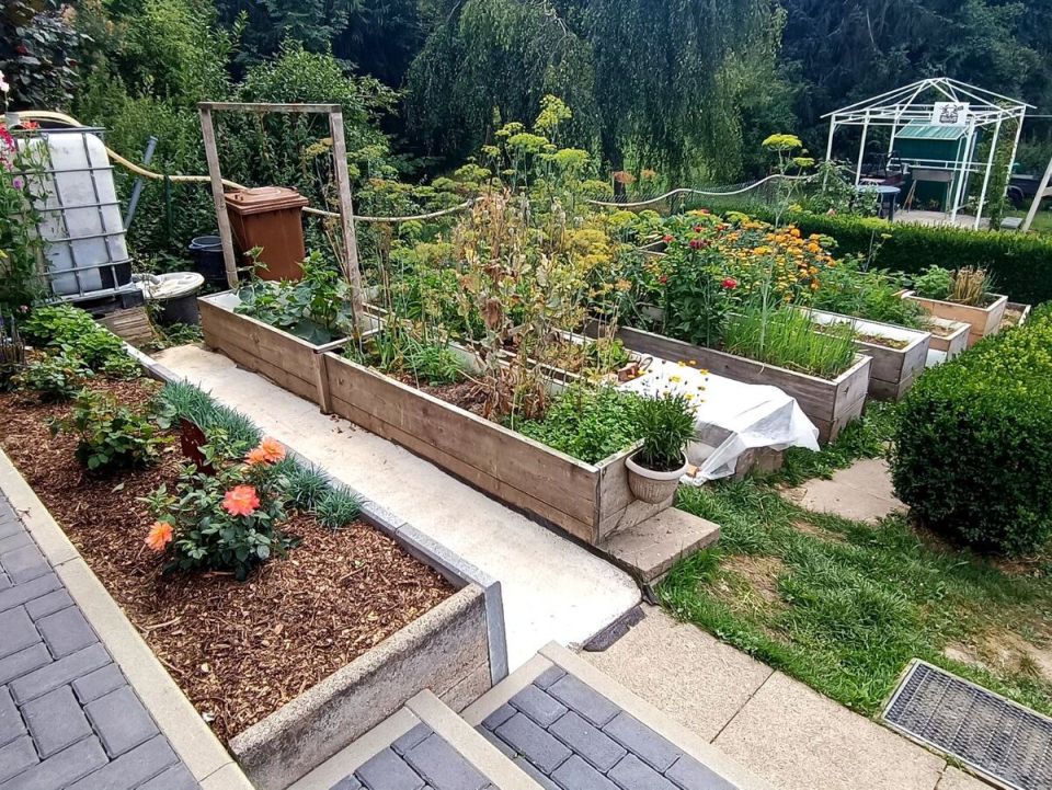 Как превратить запущенный участок в уютный сад: современные подходы