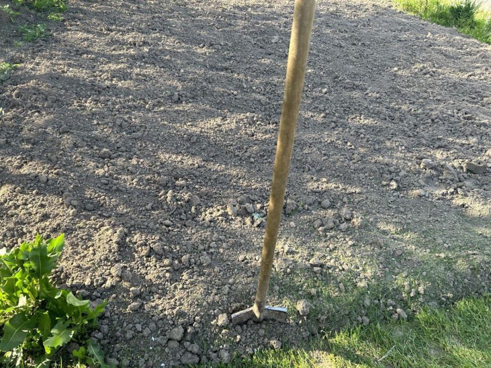 ��� ������� �������� �����: ������� ������� ��� ����� ��������