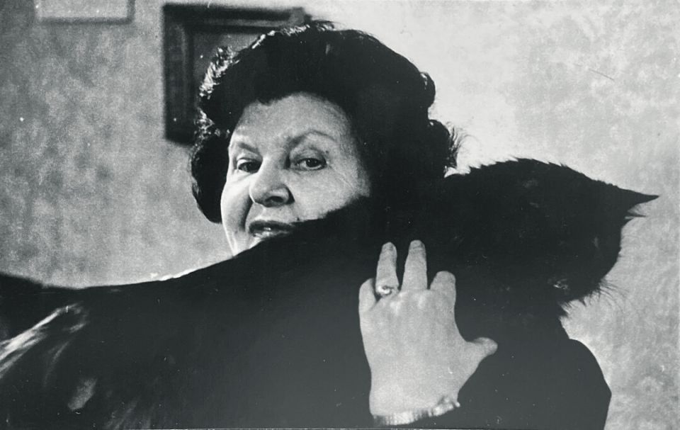 ��� �������� ������ ������ ���� ������ ��������� ��������