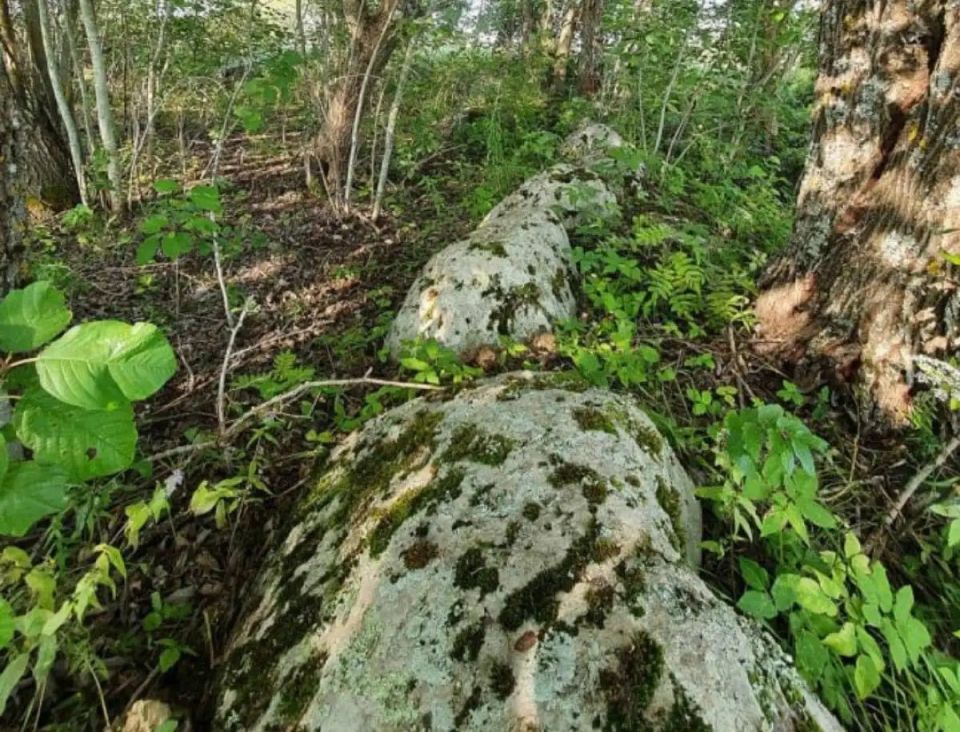 � ������� ������ ������������ ������� ����������� �������� ����