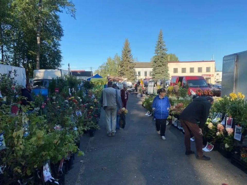 ���������� ����� ������ ������ �������� �������������� � �������