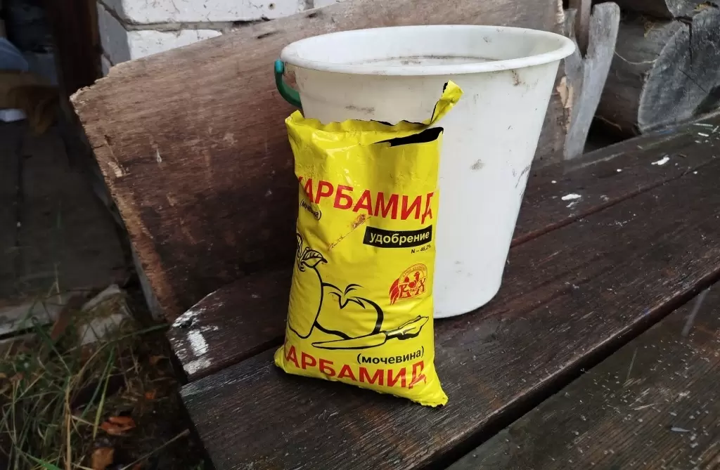 Эффективная осенняя обработка сада мочевиной