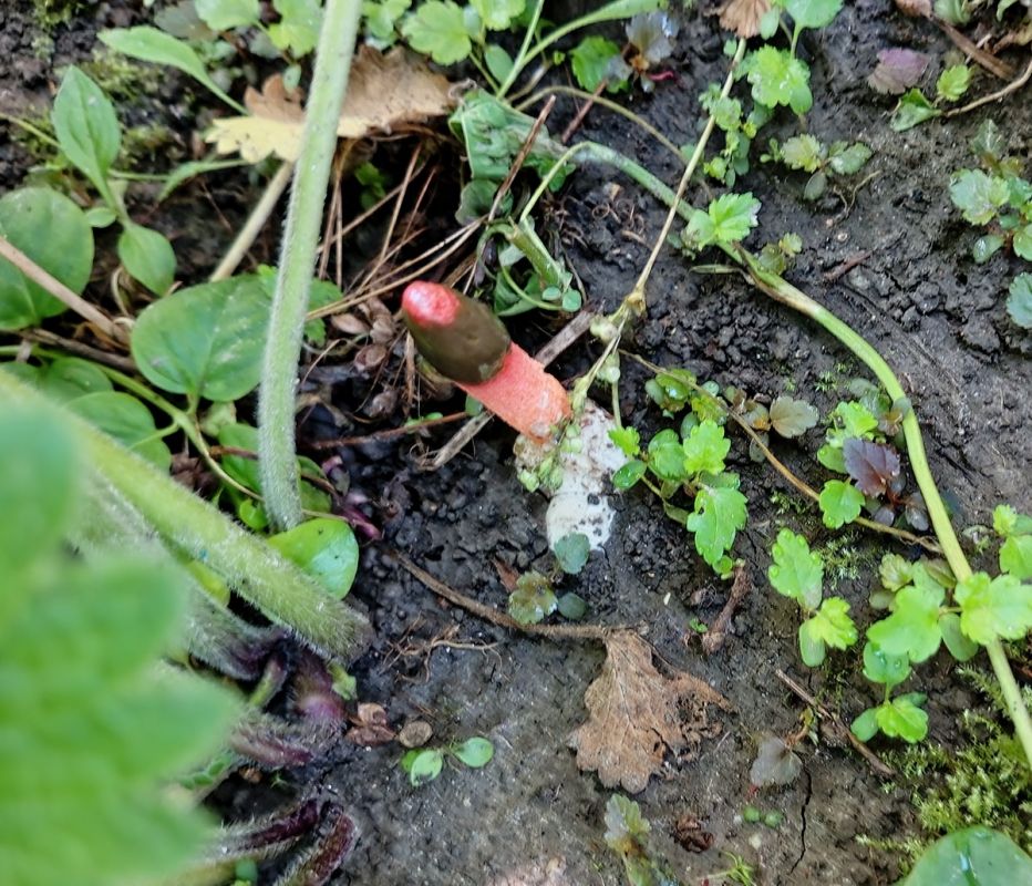 ��������� ������������� ����: ��� ������� �������� ����� �������� ��������