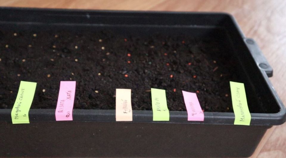 ������� �������� ������� ������� � �����: ��� �������� ��������� �������