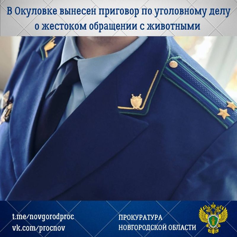 Мировой судья судебного участка № 16 Окуловского судебного района с участием представителя прокуратуры Окуловского района вынес обвинительный приговор по уголовному делу в отношении 41-летнего местного жителя Андрея Долганова