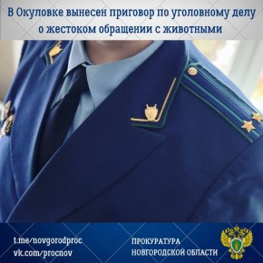 Мировой судья судебного участка № 16 Окуловского судебного района с участием представителя прокуратуры Окуловского района вынес обвинительный приговор по уголовному делу в отношении 41-летнего местного жителя Андрея Долганова