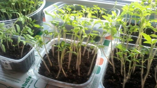 ��� ������ ��������� ������� �������: 8 ����� � ��������������