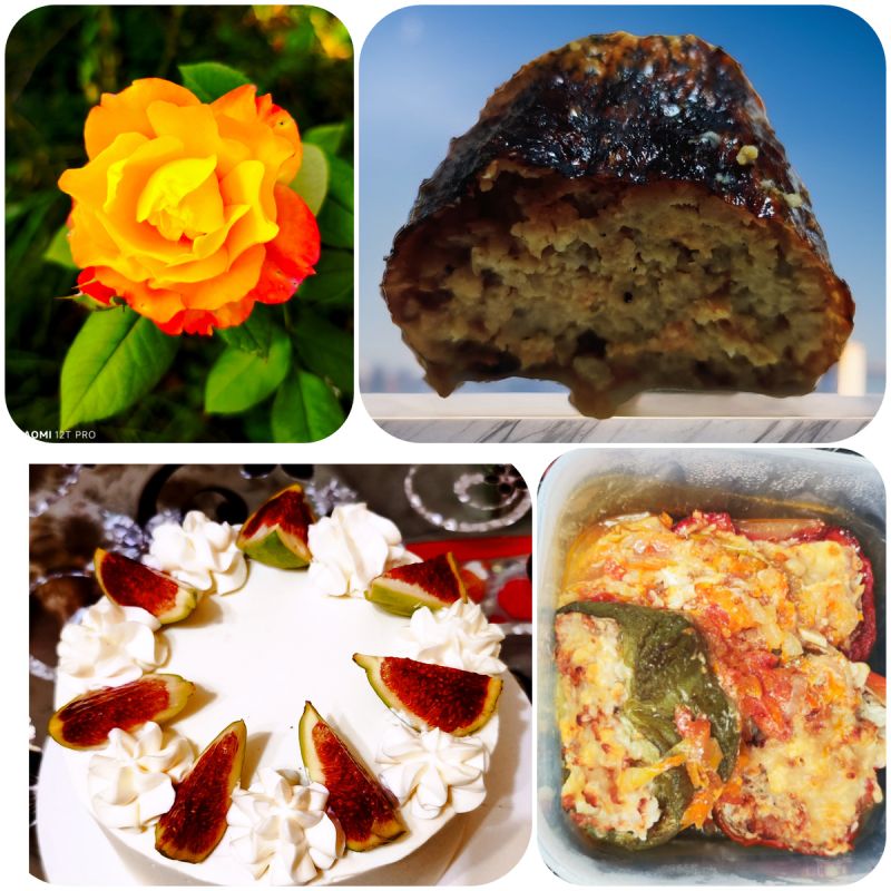 �������� ����� � ����: ����������� ������� �� ������ � ������� ������� �� ��������� ������