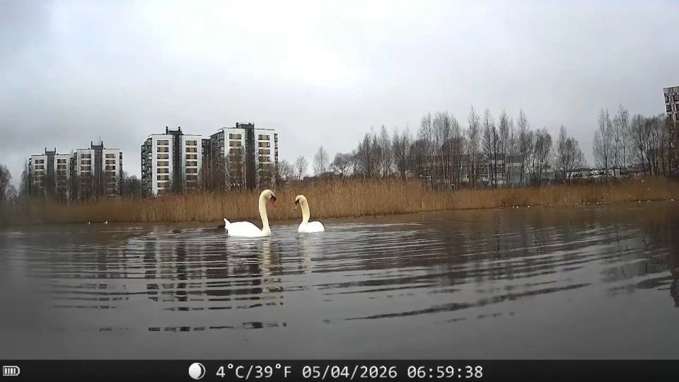 ������������ ������ ��������� ���������� �� �������